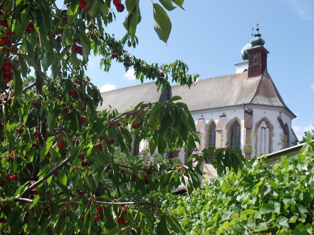 Levoča Penzion Oaza מראה חיצוני תמונה